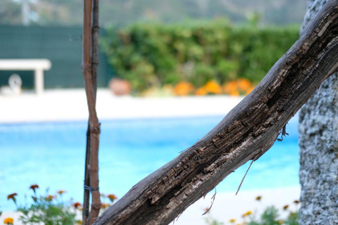 Casa Velha Villa Paradamonte Dış mekan fotoğraf